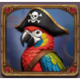pirate blimey pirate parrot symbol icon