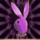 playboy gold gia symbol icon