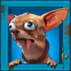 purrrminator dream drop dog 5 symbol icon