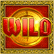 rainbow riches deluxe wild symbol icon