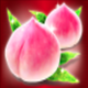 red fortune flowers symbol icon
