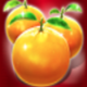 red fortune oranges symbol icon
