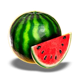 regal crown 100 melon symbol icon