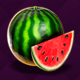 regal crown 25 watermelon symbol icon