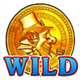 rr retro wild symbol icon