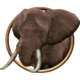safari expedition elephant symbol icon