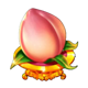 san xing riches flower symbol icon