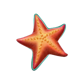 santa summers starfish symbol icon