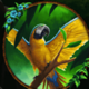 secret symbol parrot symbol icon