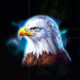 shaman song eagle symbol icon