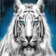 siberian storm mega jackpots tiger2 symbol icon