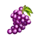spinner thriller grapes symbol icon