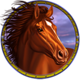 spirit of mustang deluxe horse 3 symbol icon