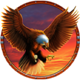 spirit of mustang west express eagle symbol icon