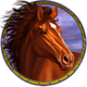 spirit of mustang west express red horse symbol icon