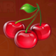 sunfire cherry symbol icon