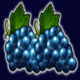 supreme hot grapes symbol icon