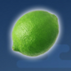 sweet n sour winter green lemon symbol icon