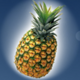 sweet n sour winter pineapple symbol icon