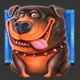 the dog house 26 icon