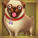 the dog house 28 icon