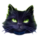 the shining globe black cat symbol icon