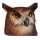 the shining globe brown owl symbol icon