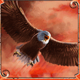 trump it deluxe eagle symbol icon