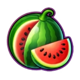 ultimate crown 40 classics series melon symbol icon