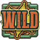 wanted dead or a wild wild symbol icon