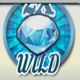 wheel of chance wild symbol icon