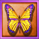 white orchid butterfly symbol icon
