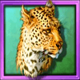 white orchid cheetah symbol icon