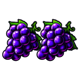 wild 27 extreme grapes symbol icon