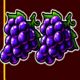 wild 27 grapes symbol icon