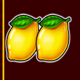 wild 27 lemons symbol icon