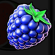 wild and fruity blueberries symbol icon