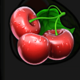 wild and fruity cherry symbol icon
