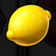 wild and fruity lemon symbol icon