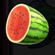 wild and fruity watermelon symbol icon