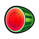 wild classic scatter watermelon symbol icon