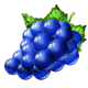 wild joker hot booster grapes symbol icon