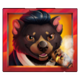wild kangaroo spins bear symbol icon