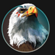 wild spirit eagle symbol icon