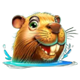 winflood amazonia beaver symbol icon