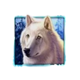 wolf run eclipse wolf 2 symbol icon