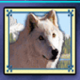 wolf run wolf2 symbol icon