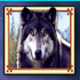 wolf run wolf symbol icon