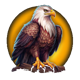 wolf triple lock eagle symbol icon