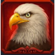 young eagle song bald eagle symbol icon